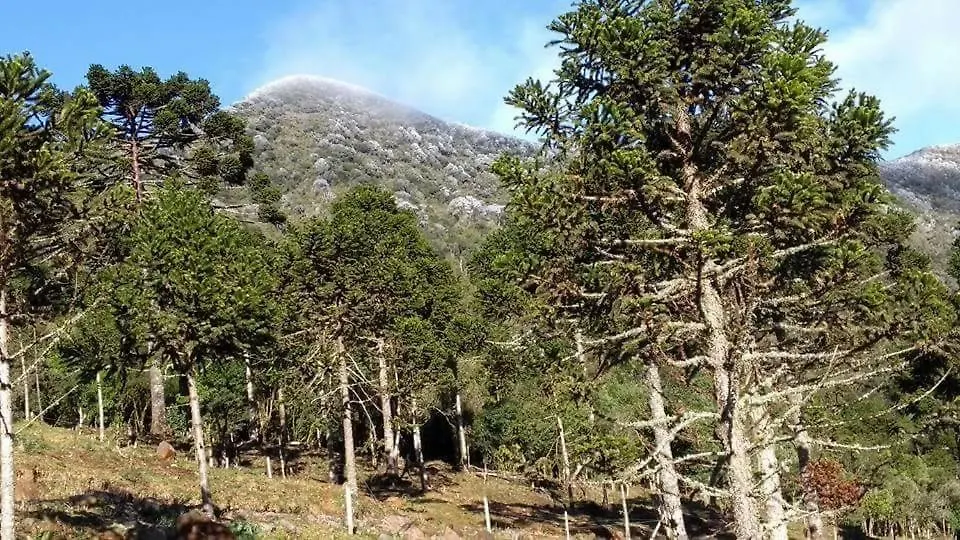 Penzion Pousada Morro Das Torres Brazílie