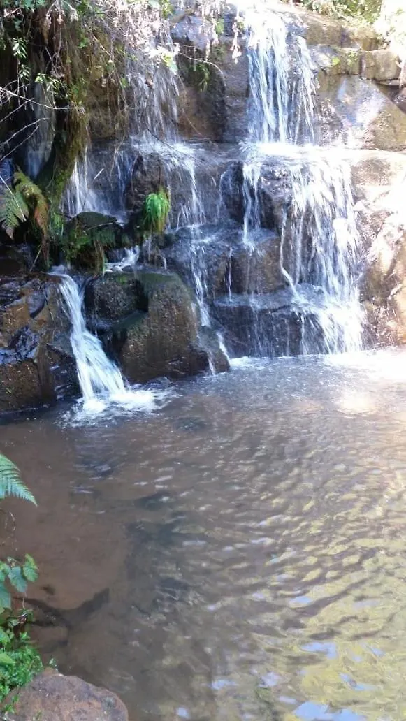 Fazenda Morro Das Torres Urupema Brazil