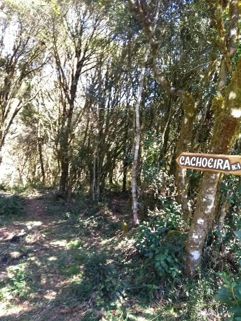 Fazenda Morro Das Torres Urupema Brazil