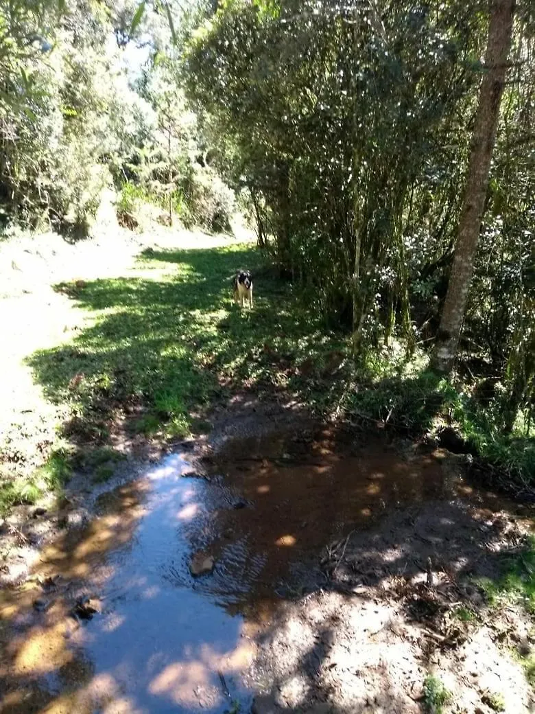 Fazenda Morro Das Torres Urupema 0*,  Brazil